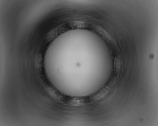 X0000102260760200808081400