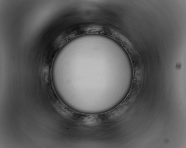 X0000102260761200808081400