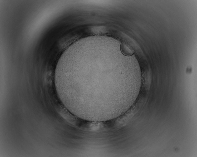 X0000102260762200808081400