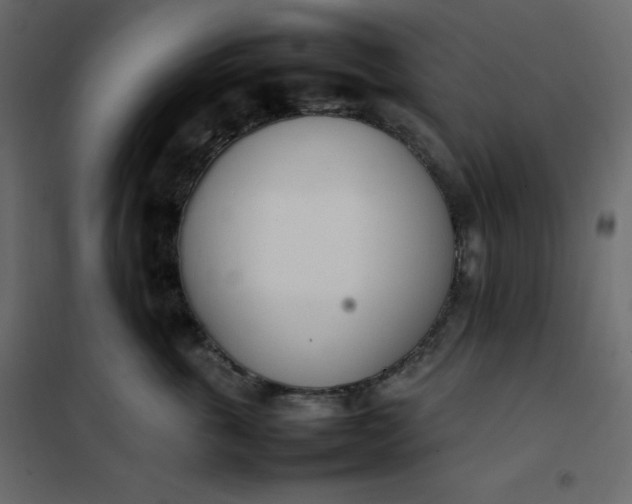 X0000102260763200808081400