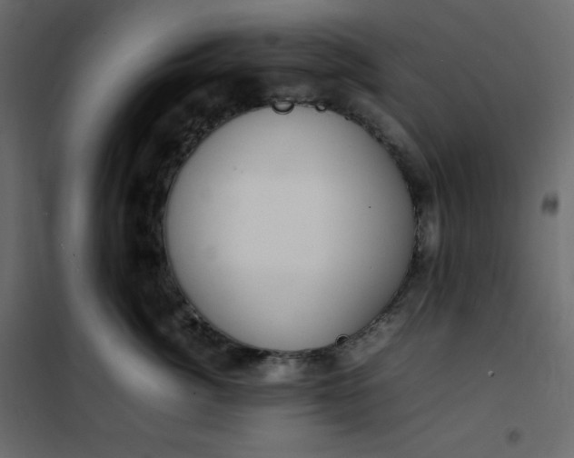 X0000102260764200808081400