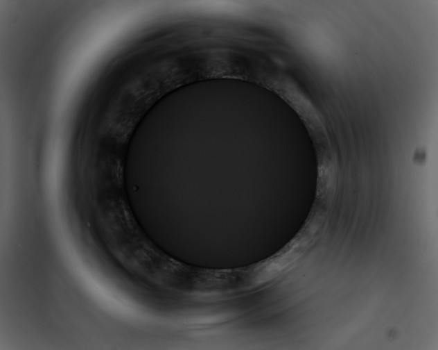 X0000102260765200808081400