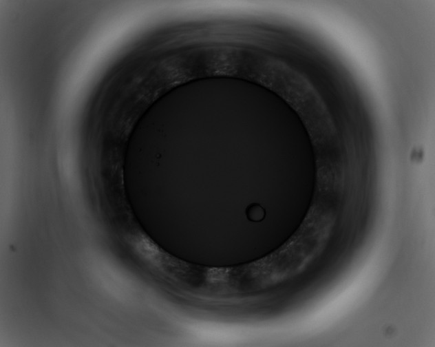 X0000102260766200808081400