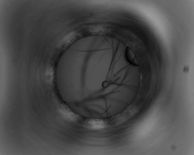 X0000102260767200808081400