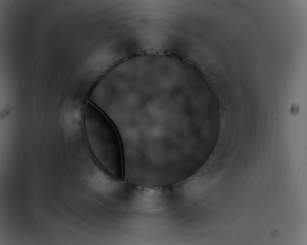 X0000102260768200808081400