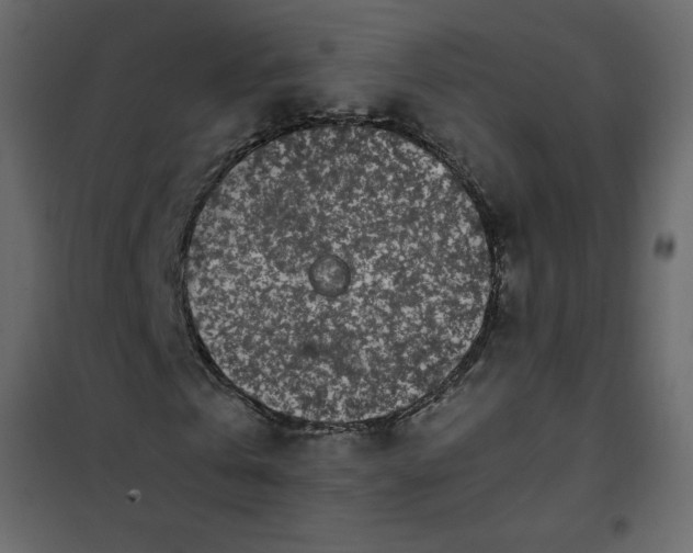 X0000102260769200808081400