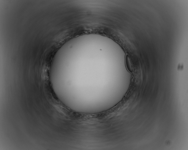 X0000102260770200808081400