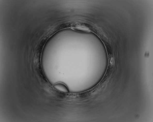 X0000102260771200808081400