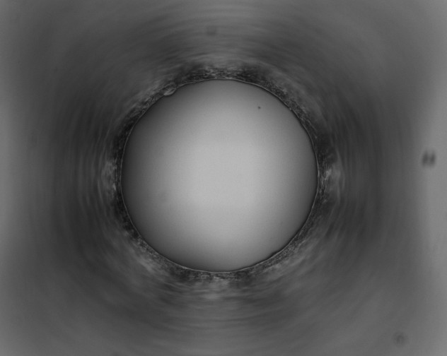 X0000102260772200808081400