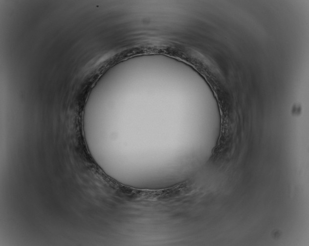 X0000102260773200808081400