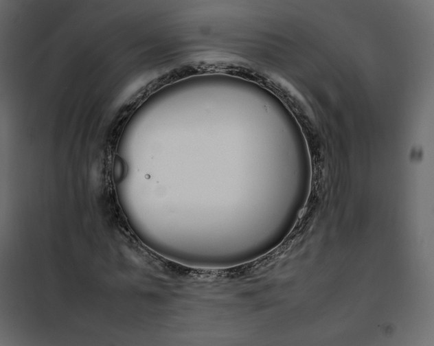 X0000102260775200808081400