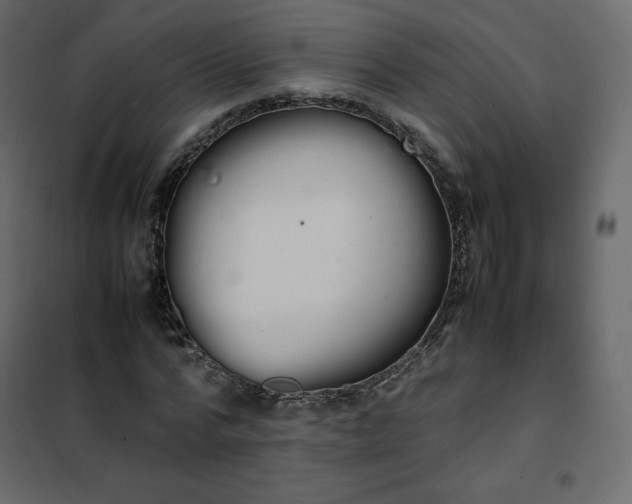 X0000102260776200808081400