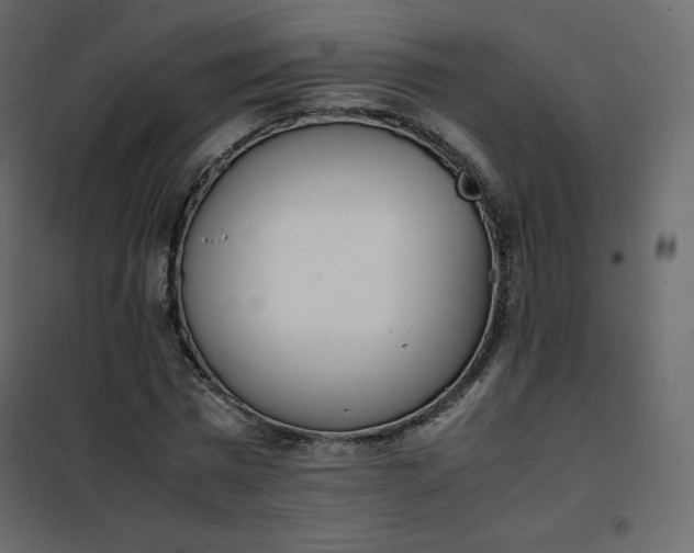 X0000102260777200808081359