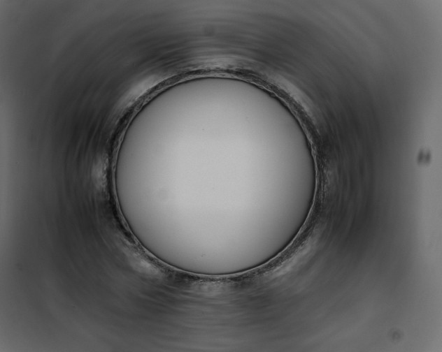 X0000102260778200808081359