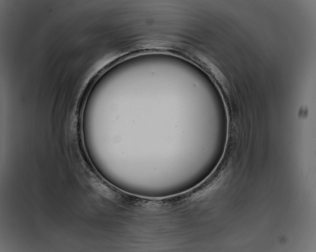 X0000102260779200808081359