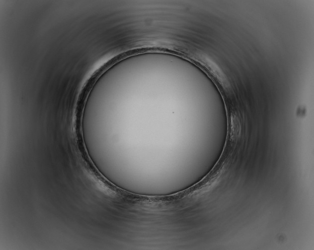 X0000102260780200808081359