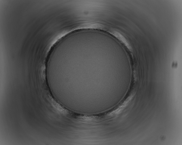 X0000102260781200808081359