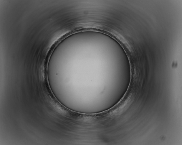 X0000102260782200808081359