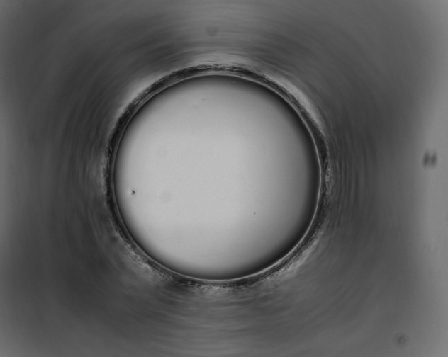 X0000102260783200808081359