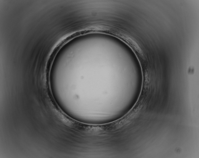 X0000102260784200808081359