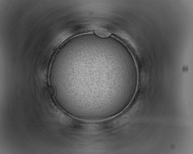 X0000102260785200808081359