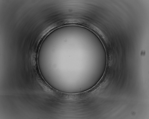 X0000102260786200808081359