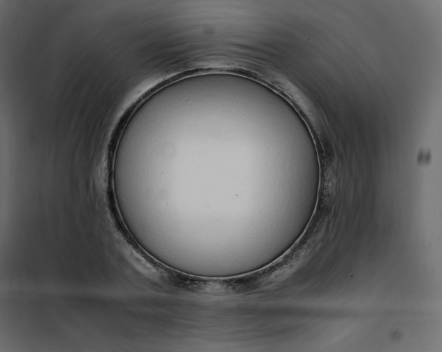 X0000102260787200808081359