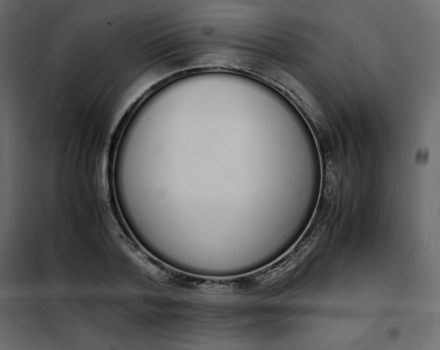 X0000102260788200808081359