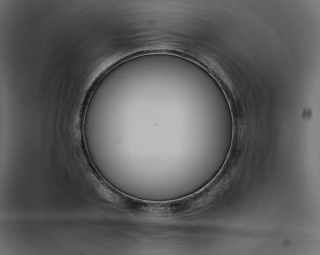 X0000102260789200808081359