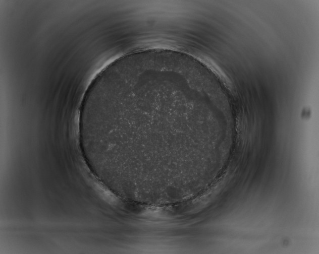 X0000102260790200808081359