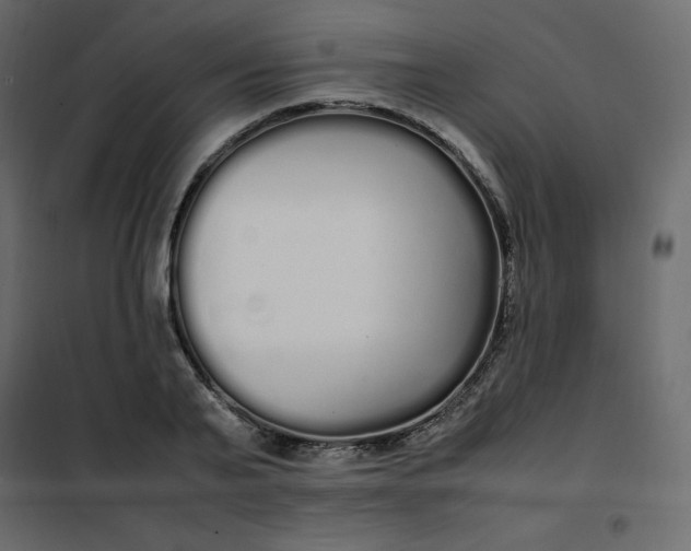 X0000102260791200808081359