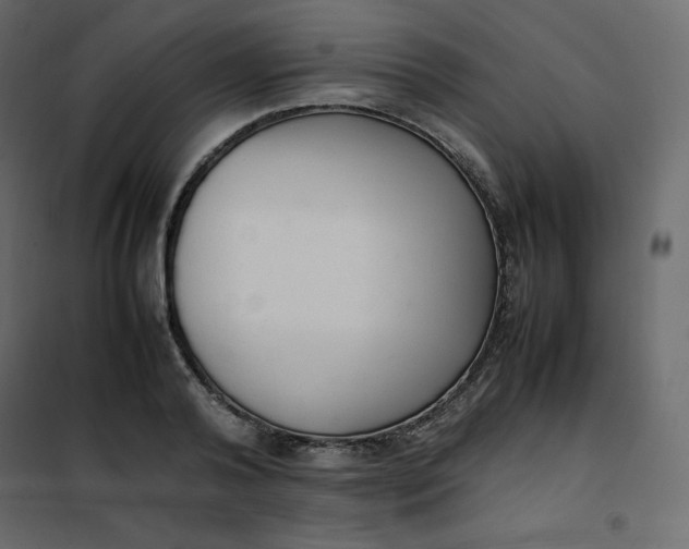 X0000102260792200808081359