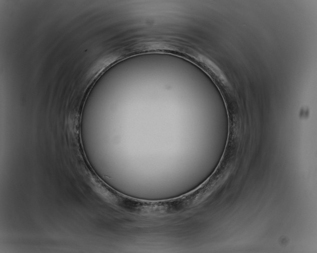 X0000102260793200808081359