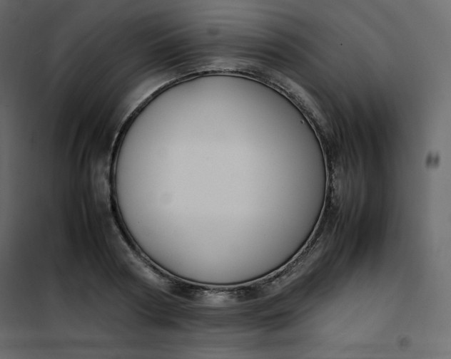 X0000102260794200808081359