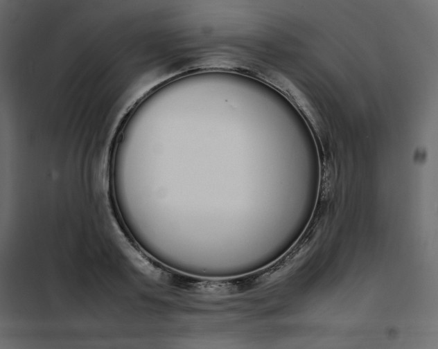 X0000102260795200808081359