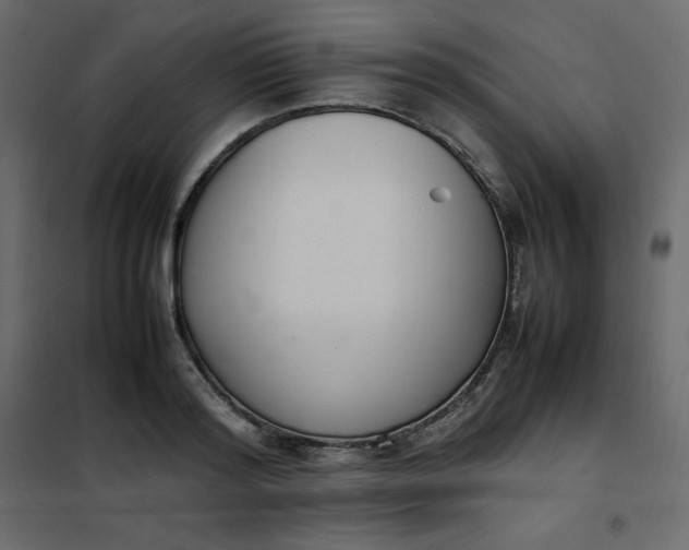 X0000102260796200808081359