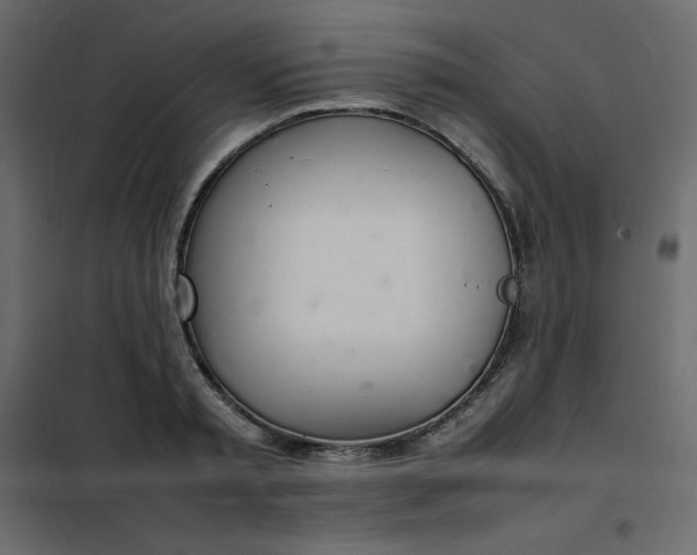 X0000102260797200808081359