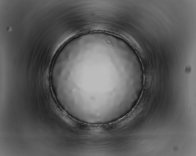 X0000102260798200808081359