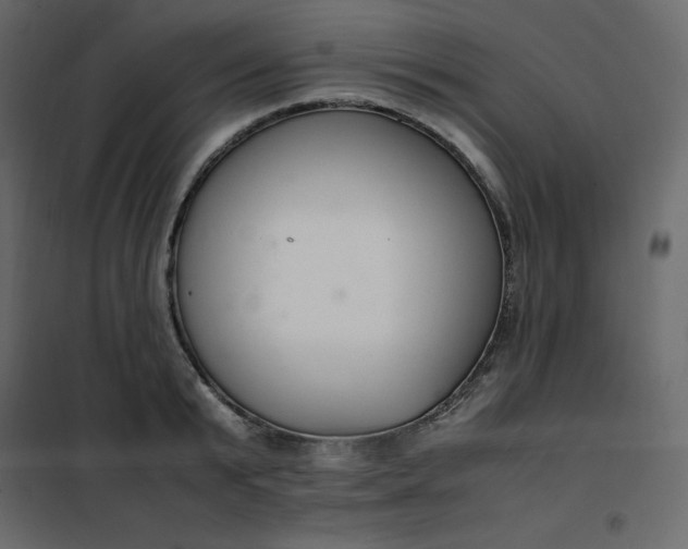 X0000102260799200808081359