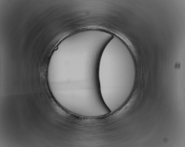 X0000102260801200808081359