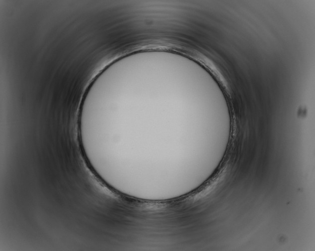 X0000102260802200808081359