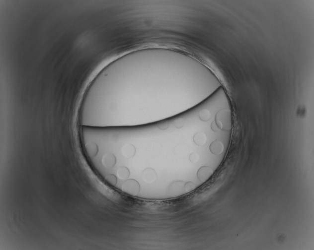 X0000102260803200808081359