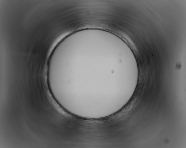 X0000102260804200808081359