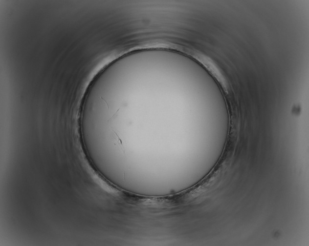 X0000102260805200808081359