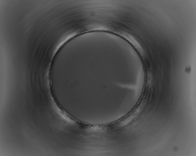 X0000102260806200808081359