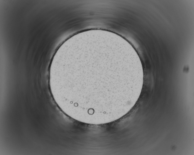 X0000102260807200808081359