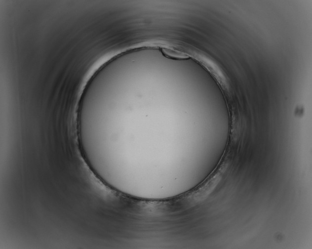 X0000102260808200808081359