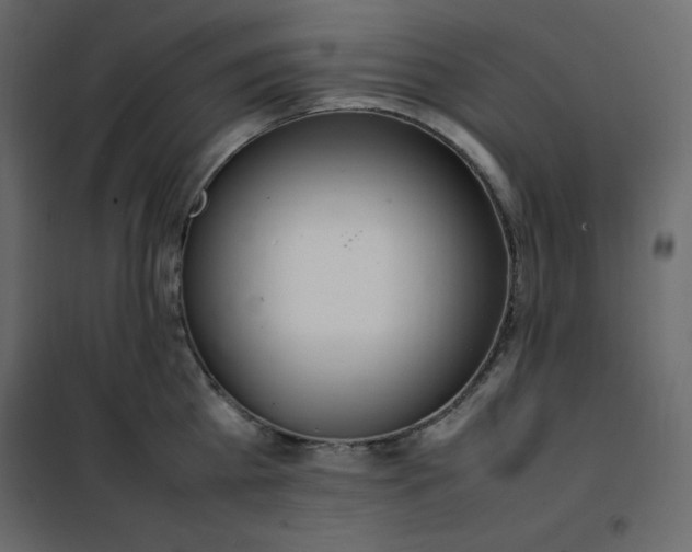 X0000102260809200808081359