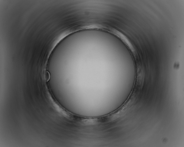 X0000102260810200808081359