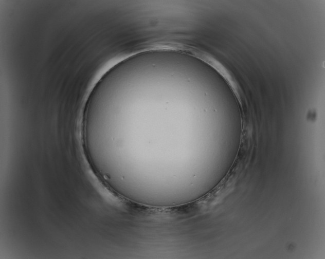 X0000102260811200808081359